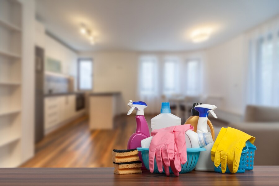 R & D Junk Removal Solutions LLC's Hoarding Cleanup 